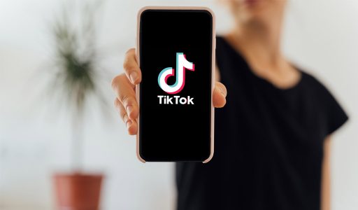 TikTok: A New Marketing Channel and Emergence of New Ideas